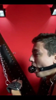 A Horny Stupidclient Is Looking for a Girl