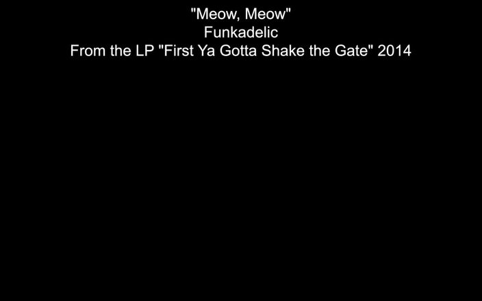 Mocha swallows: Mochaswallows&amp;#039;meow Mixxx