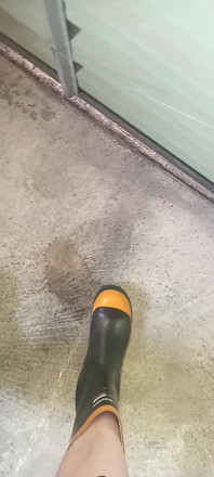 Pissing on Steel Toe Black Rubber Wellies