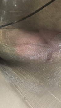 I Came Hard Inside Someone’s Coffee-colored Tights, Right Through the Nylon