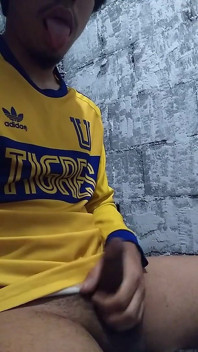 Tvůj oblíbený hanba