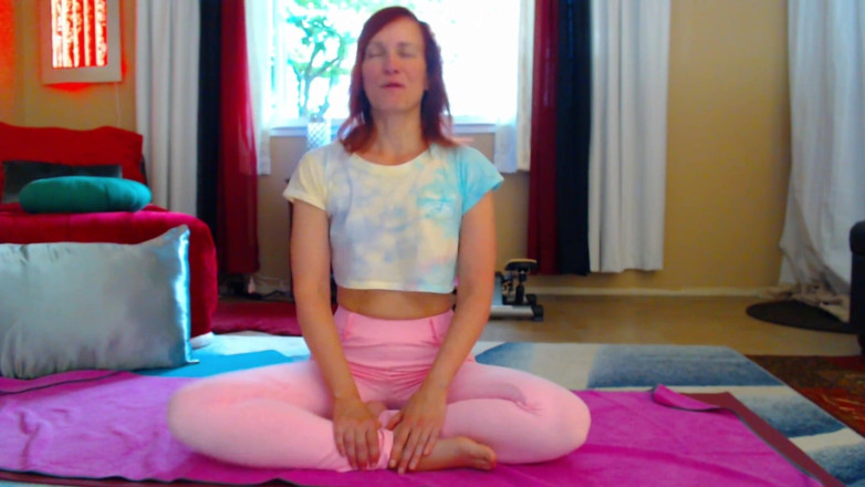 Aurora Willows: Yoga Beginner Flow 1