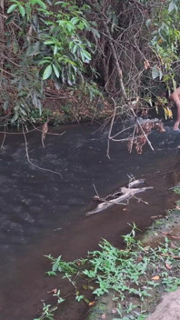 Orang asing kepergok di air terjun.