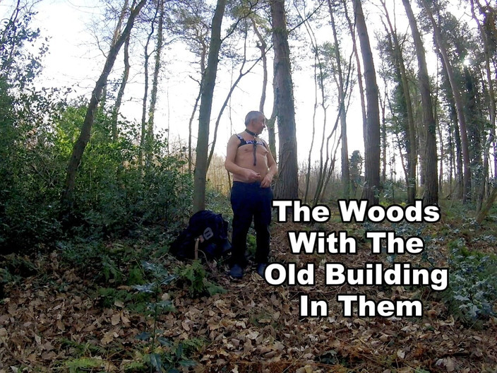 Andy: Caminhada 8 2025