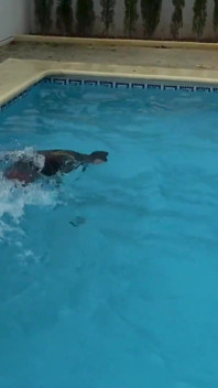 Legare umedă Mermaid Slippery Pool Kink cu fins, frânghie și scufundări profunde