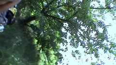 Sextermedia by Pete: Double Dans La Swingermobile