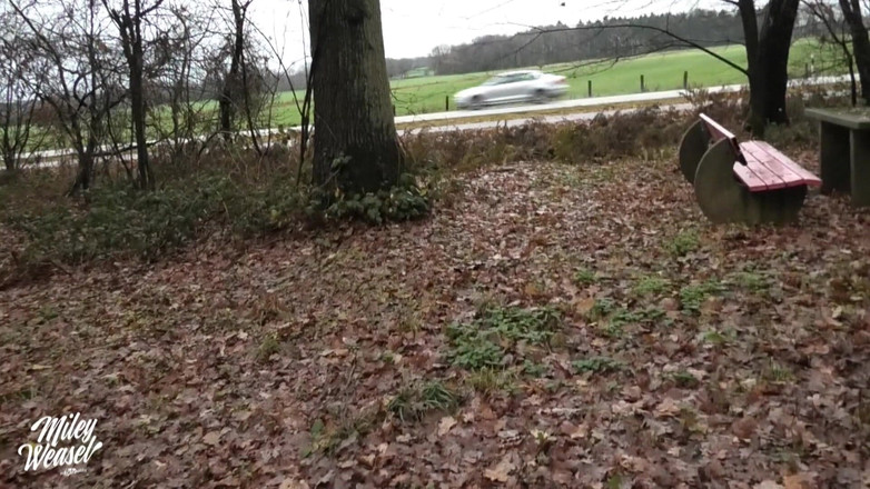 Miley Weasel: Blonďatá amatérka Miley Weasel Riskantní veřejné šukání v autě