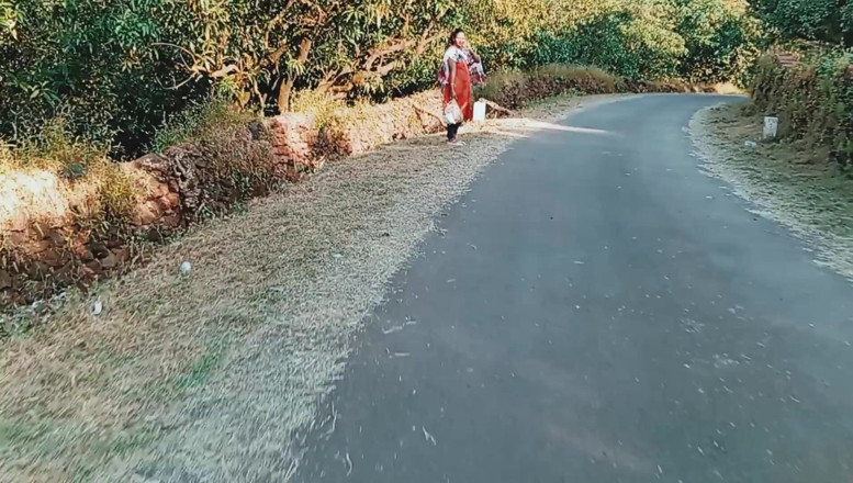 Harder299: She Asked for Lift. Wants to Go to the Market....