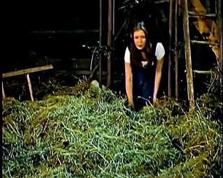GERMAN PORN CLASSICS: Golden Century of Porn 5