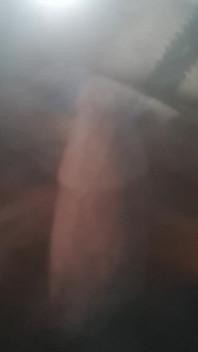 Dick Lovers