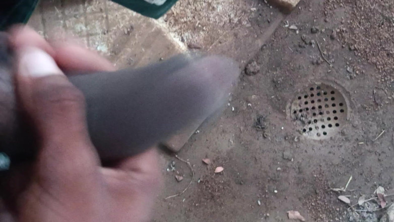 AURA THINGS: Hot Desi Boy Pissing Hard Cock