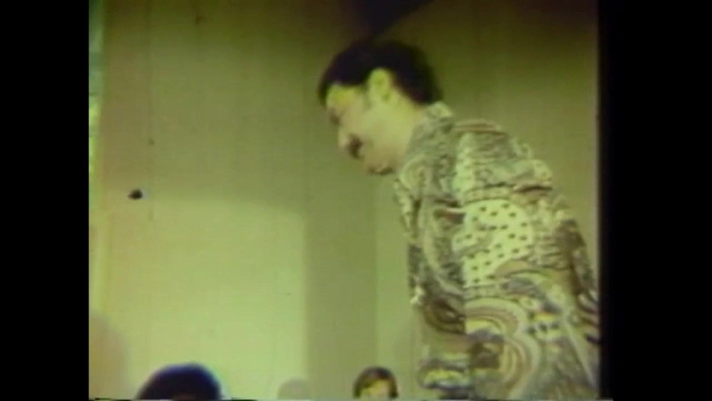 Vintage Usa: O kedi benim