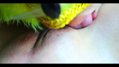 New241New: 새로운 시오후키할 때까지 농 뉴의 질을 핥는 클립241new