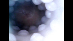 Harlo_salem: Interne nahaufnahme, fickspielzeug