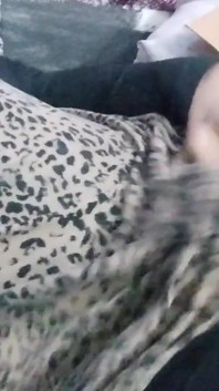 Fishnets and Piss- Gothboi Solo Compilation