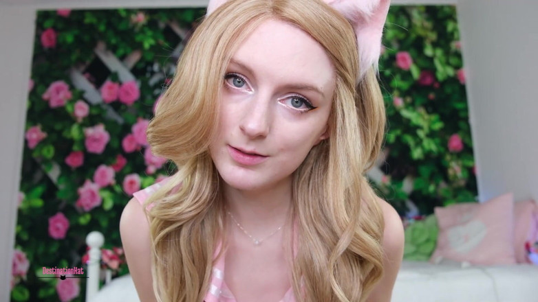 Destination Kat: Nur verweigern