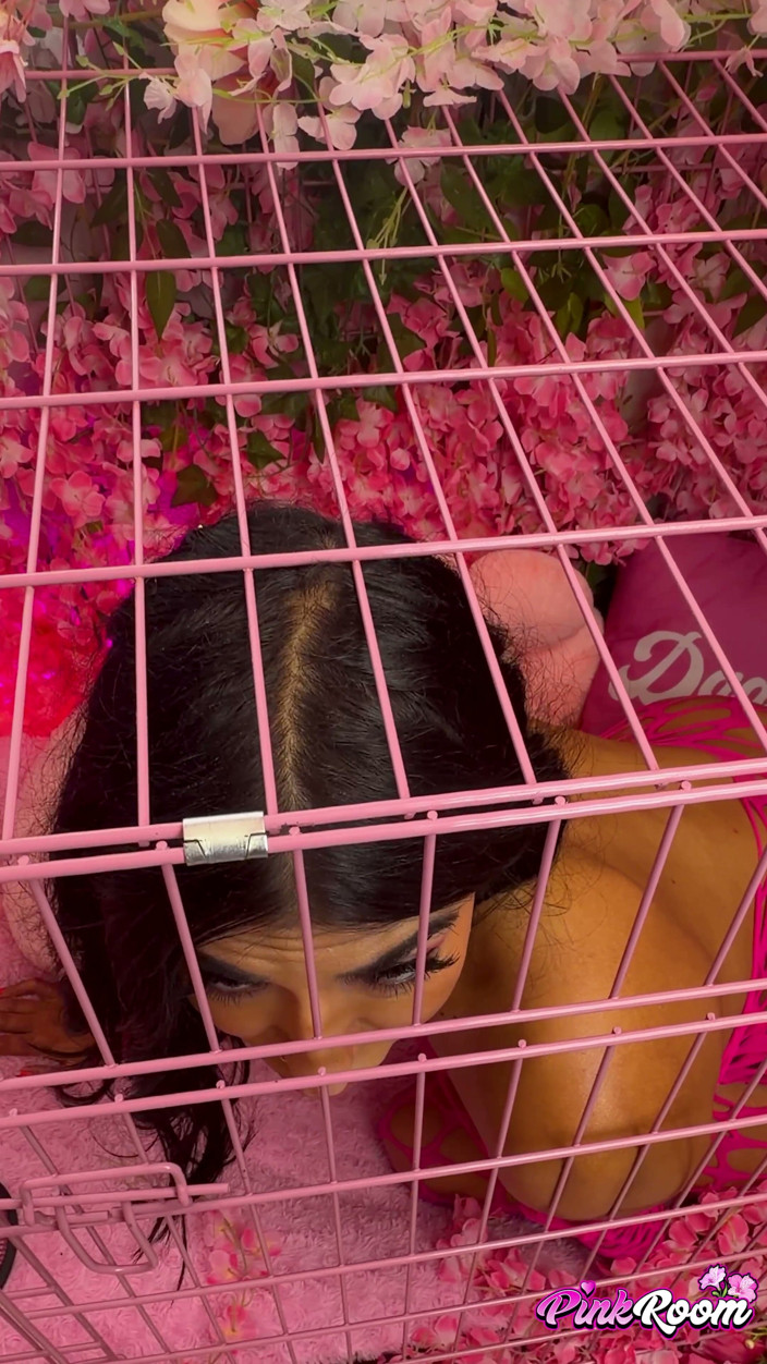 Nasty Sluts Studios: Jasmine Sherni prosí o chov - vertical