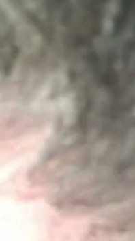 Courtney Simpson Spiced His Day with an Erotic Blowjob and Soft Petite Chest Titty Fucking