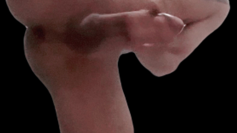 Naughty Cock: Ayakta Mastürbasyon Yapıyor