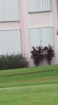 This Is Non-sexual, but It Is What Bailey Loves to Do While in Fl. One of Her Biggest Interests!