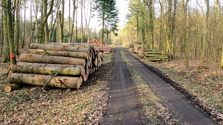 Bouncy Tits Action: Amcık tokatlıyor mit dem lineal im wald