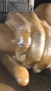 Close up Stroking My Big Hard Black Cock Moaning Cumshot