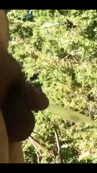 Assaggia la mia piscia