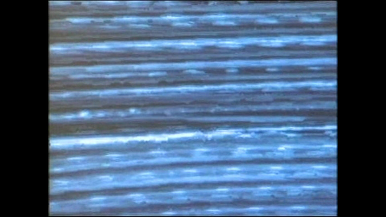 The Power of Love: Mokrá děvka sténá při hlubokém análu