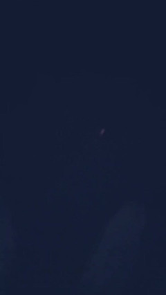 Slutboyben: Slutboyben Cam4 Cruising Pig Xpozing at Night Live on Cam4