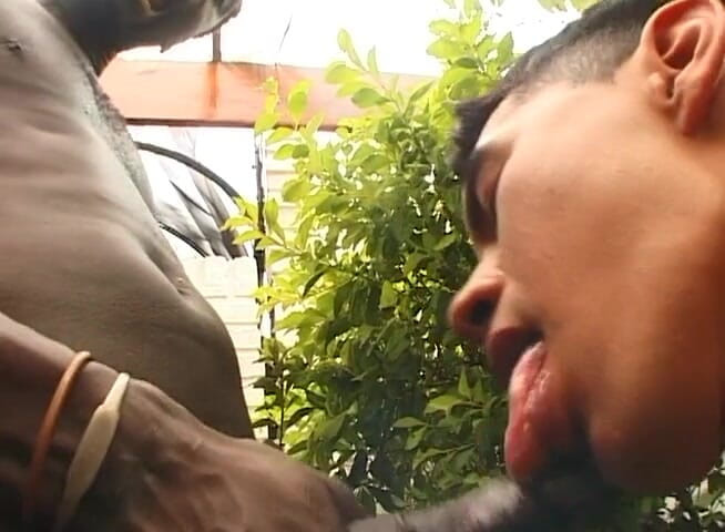 Bareback TV: Ședință de futai homosexual în aer liber