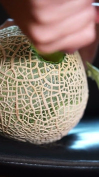 Fuck Melon in Hotel.