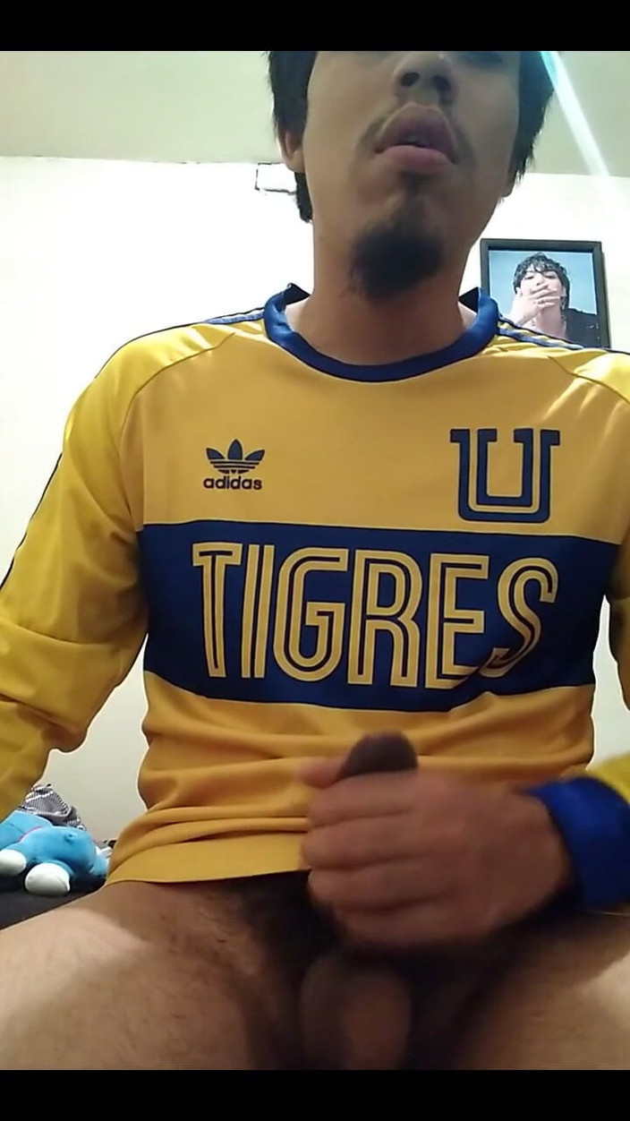 AlexAlejandro13: Tigres पर आओ, मैं अमीर वापस आ रहा हूं ।