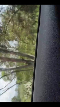 On the Road, Road Trip