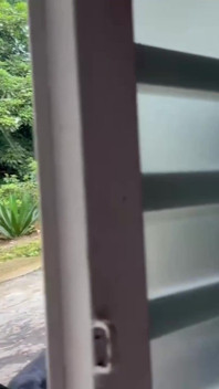 Köpek yayasıyla böyle çalışıyorum