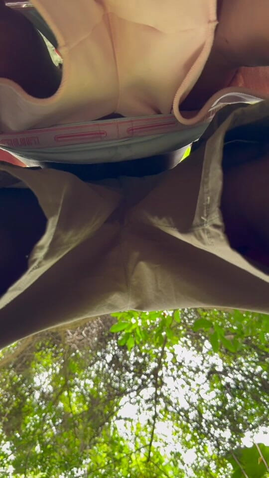 Calven: Pikniki zamieniają się w dzikie armaty