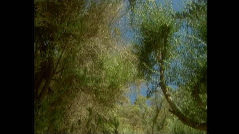 MUSCHI TV - our best full movie: Yırtıklar dökülene kadar sert yüz sikişi makyaj mahvoldu