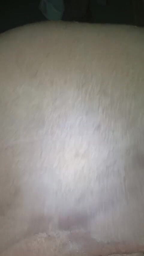 Badman4606: Black Ebony Freaky