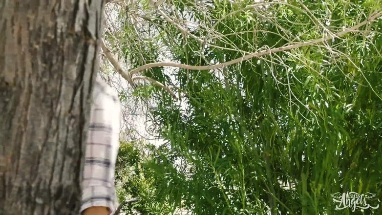 Trans Angels: Trans Angels - Kayleigh Coxx Cools Down Outdoors by Undressing and...