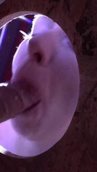 Gangbang Sex with German Cougar Slut with Tattoos and Small Tits Gets Her Mouth Stuffed at the Glory Hole