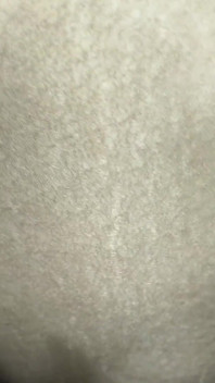 Stepsister Makes Sex Videos with Stepbrother