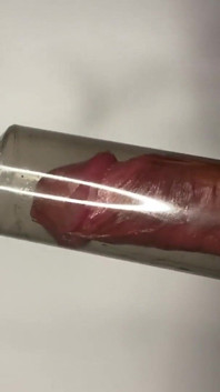 Chupar y soltar, esta bomba pene ejercita mi polla chupándolo y tirando