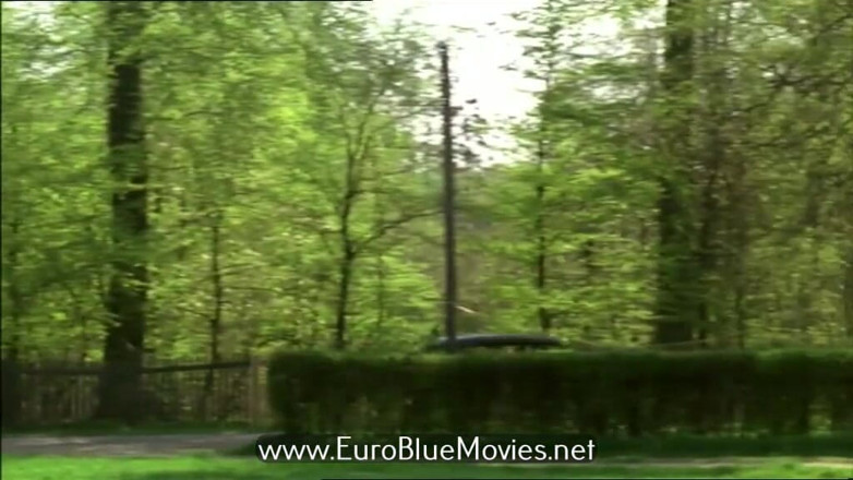 Euro Blue Movies: I Lovens Tegn - the Lion ke sain men - I lejonets...