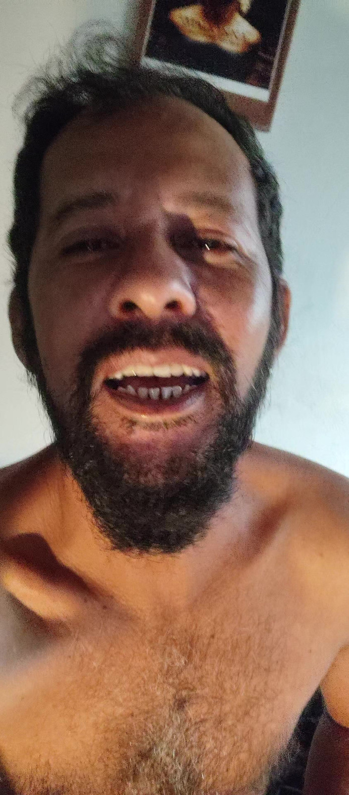 Stink HairyMale: Короткая выставка для Ya