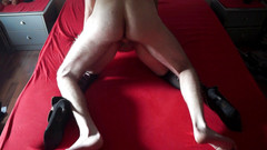 Caralia Deluxe: Suka z ulicy zostaje ostro wyruchana