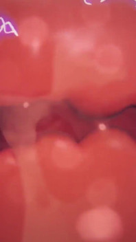 Boss Raiden Shogun Cums and Gets Roughly Fucked by a Mitachurl Cock Full Vaginal Nelson X Ray View