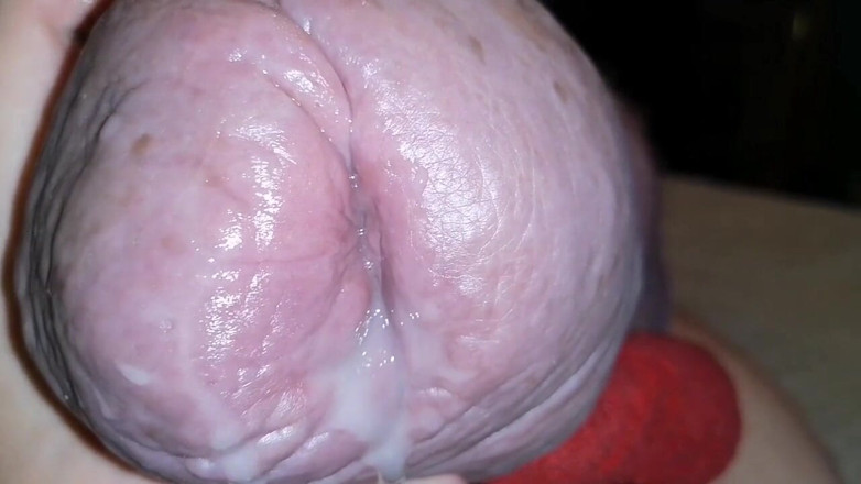 Monster_Meat_: Pancutan mani 10 hari