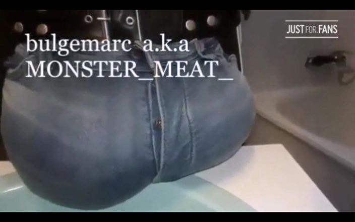 Monster meat studio: Eine Auswahl meiner 500 videos, sammlung