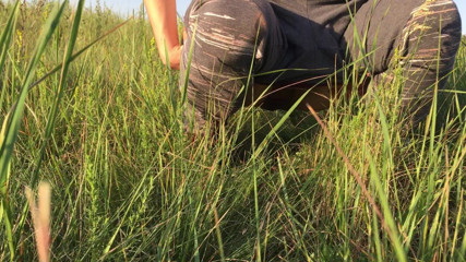 Risky Hairy Couple: Pisciare nell'erba in un prato