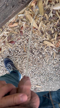 Peeing in the Garden