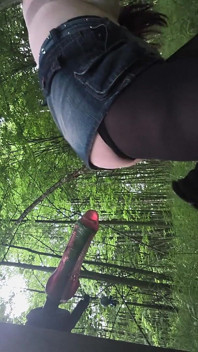 Am mers în pădure să iau un copac